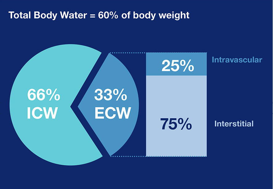 [Translate to English (GB):] graphic of Total Body Water